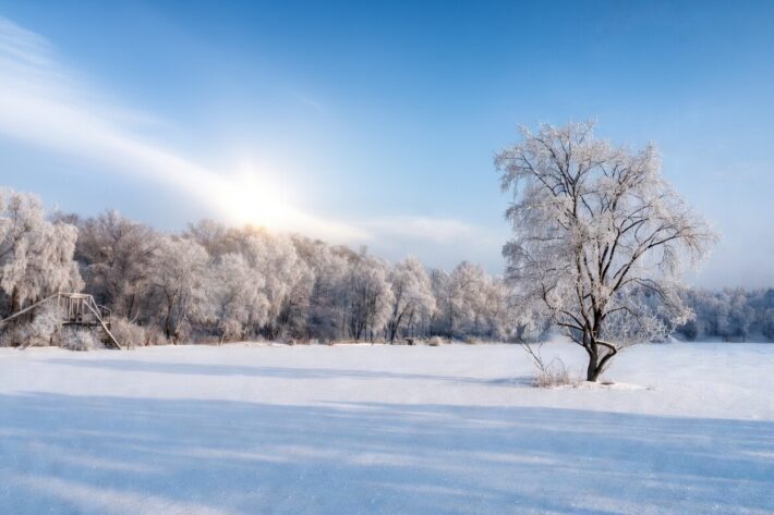 Гороскоп работы на январь 2026 года